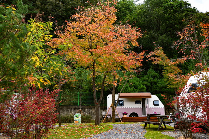 [로컬라이프] 청량산 수원캠핑장 시범...
